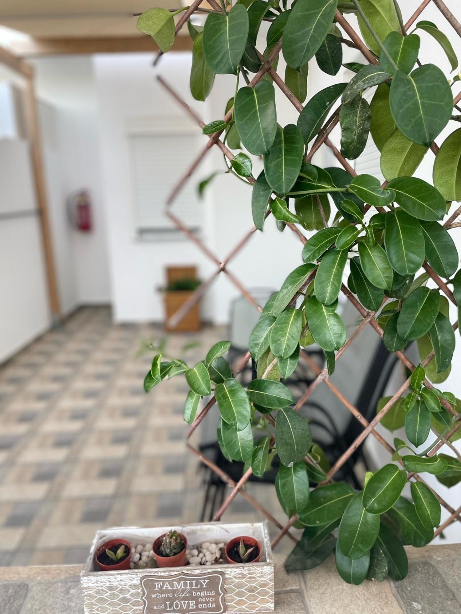 Blue Horizon Apartment Achlia Екстериор снимка